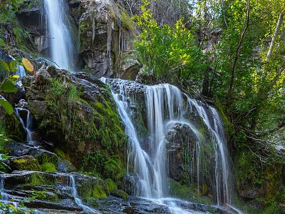 Kettle Valley - Wildlife and Nature